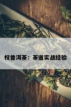 权普洱茶：茶道实战经验