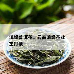 滇缘普洱茶，云南滇缘茶业主打茶