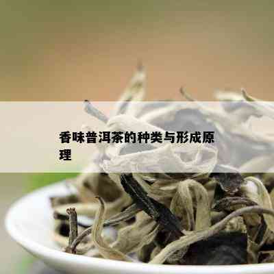 香味普洱茶的种类与形成原理