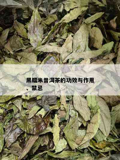 黑糯米普洱茶的功效与作用、禁忌