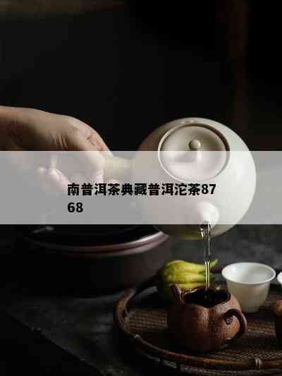 南普洱茶典藏普洱沱茶8768