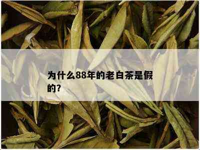 为什么88年的老白茶是假的？