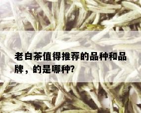 老白茶值得推荐的品种和品牌，的是哪种？