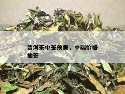 普洱茶中签预售，中端价格抽签