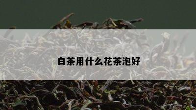 白茶用什么花茶泡好