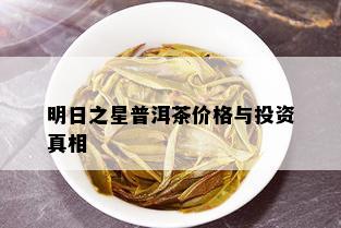 明日之星普洱茶价格与投资真相