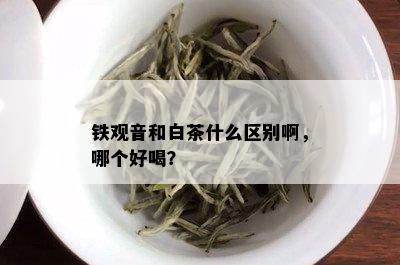 铁观音和白茶什么区别啊，哪个好喝？