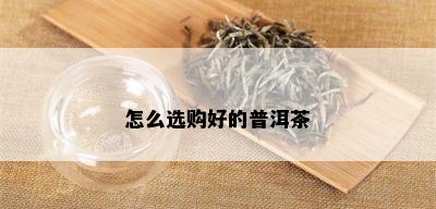 怎么选购好的普洱茶