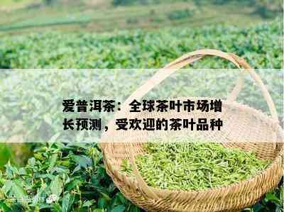 爱普洱茶：全球茶叶市场增长预测，受欢迎的茶叶品种