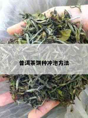 普洱茶饼种冲泡方法