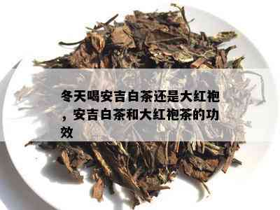 冬天喝安吉白茶还是大红袍，安吉白茶和大红袍茶的功效