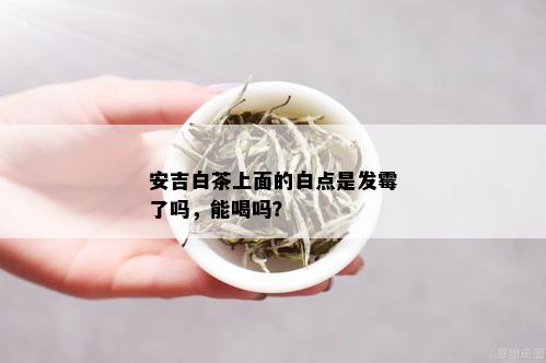 安吉白茶上面的白点是发霉了吗，能喝吗？