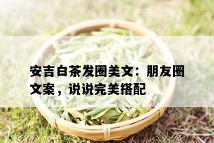 安吉白茶发圈美文：朋友圈文案，说说完美搭配