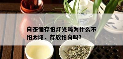 白茶储存怕灯光吗为什么不怕太阳，存放怕高吗？