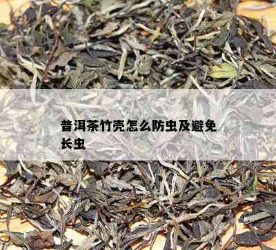 普洱茶竹壳怎么防虫及避免长虫