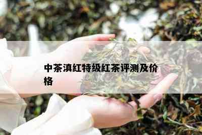 中茶滇红特级红茶评测及价格