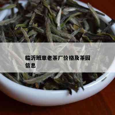 临沂班章老茶厂价格及茶园信息