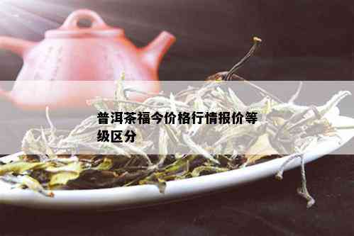 普洱茶福今价格行情报价等级区分