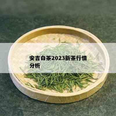 安吉白茶2023新茶行情分析