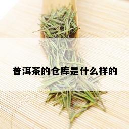 普洱茶的仓库是什么样的