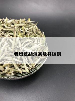 老班章勐海茶及其区别