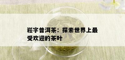 崧字普洱茶：探索世界上更受欢迎的茶叶