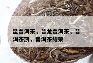 昆普洱茶，普龙普洱茶，普洱茶凯，普洱茶绍荣