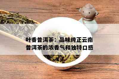 叶香普洱茶：品味纯正云南普洱茶的浓香气和独特口感