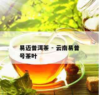 易迈普洱茶 - 云南易普号茶叶