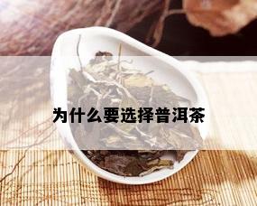 为什么要选择普洱茶