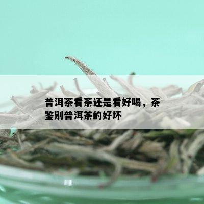 普洱茶看茶还是看好喝，茶鉴别普洱茶的好坏