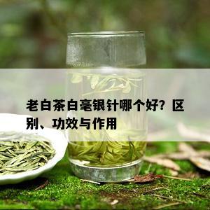 老白茶白毫银针哪个好？区别、功效与作用