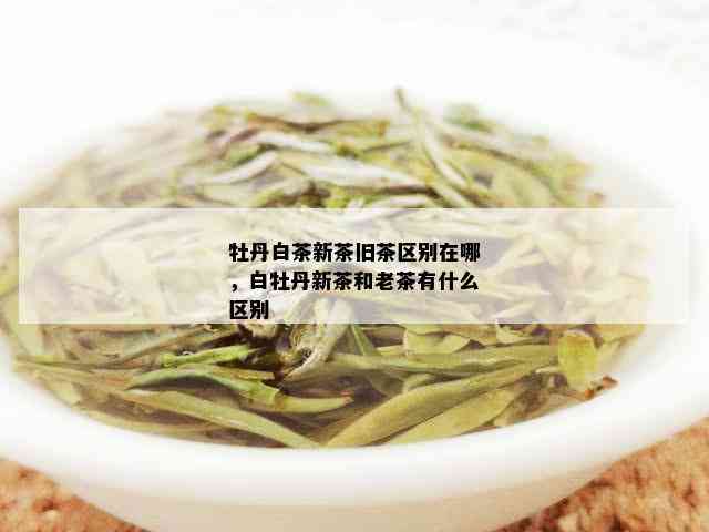 牡丹白茶新茶旧茶区别在哪，白牡丹新茶和老茶有什么区别