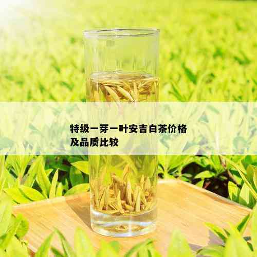 特级一芽一叶安吉白茶价格及品质比较