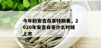 今年的安吉白茶特别香，2020年安吉白茶什么时候上市