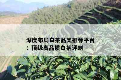 深度布局白茶品类推荐平台：顶级高品质白茶评测