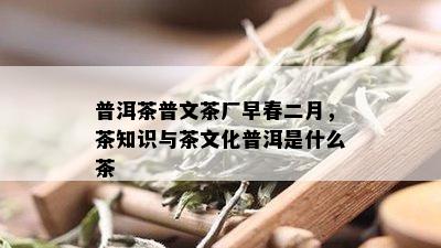 普洱茶普文茶厂早春二月，茶知识与茶文化普洱是什么茶