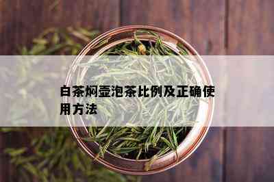 白茶焖壶泡茶比例及正确使用方法