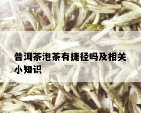 普洱茶泡茶有捷径吗及相关小知识