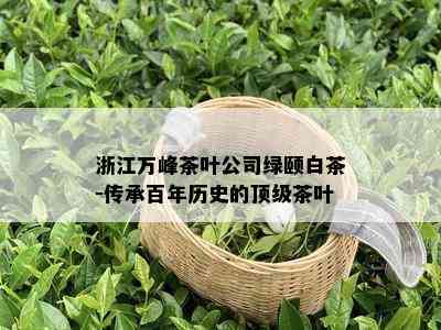 浙江万峰茶叶公司绿颐白茶-传承百年历史的顶级茶叶