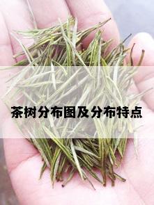 茶树分布图及分布特点