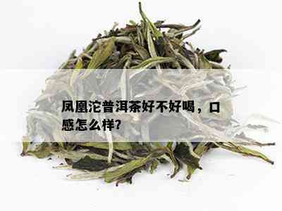 凤凰沱普洱茶好不好喝，口感怎么样？