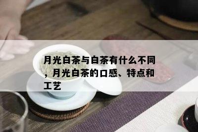 月光白茶与白茶有什么不同，月光白茶的口感、特点和工艺