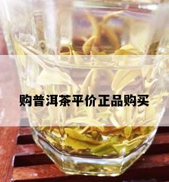 购普洱茶平价正品购买