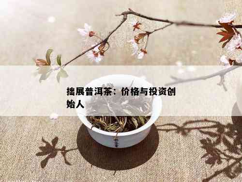 拙展普洱茶：价格与投资创始人