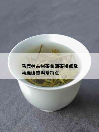 马鹿林古树茶普洱茶特点及马鹿山普洱茶特点