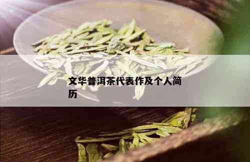 文华普洱茶代表作及个人简历