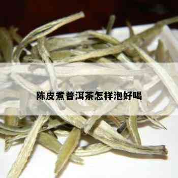 陈皮煮普洱茶怎样泡好喝