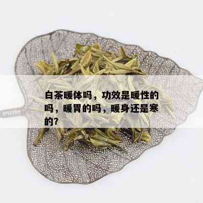 白茶暖体吗，功效是暖性的吗，暖胃的吗，暖身还是寒的？