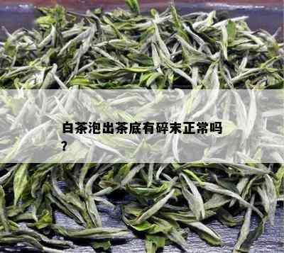 白茶泡出茶底有碎末正常吗？